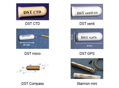 DST鱼类追踪记录仪