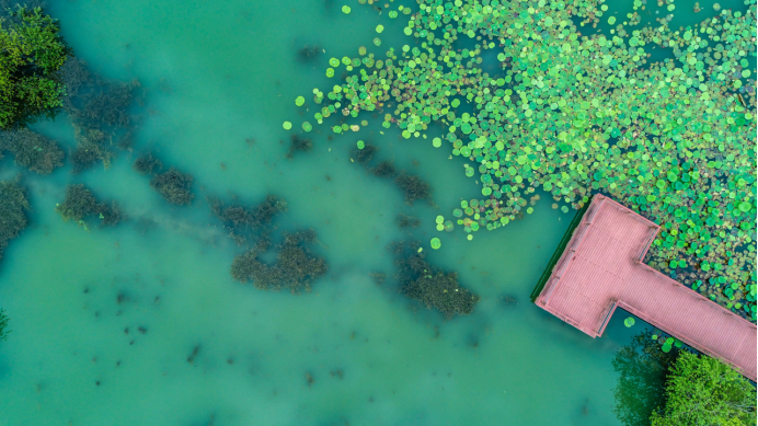 1776327579932781.png 图片.png