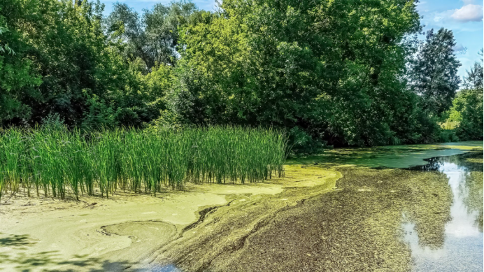 1776327602669640.png 图片.png