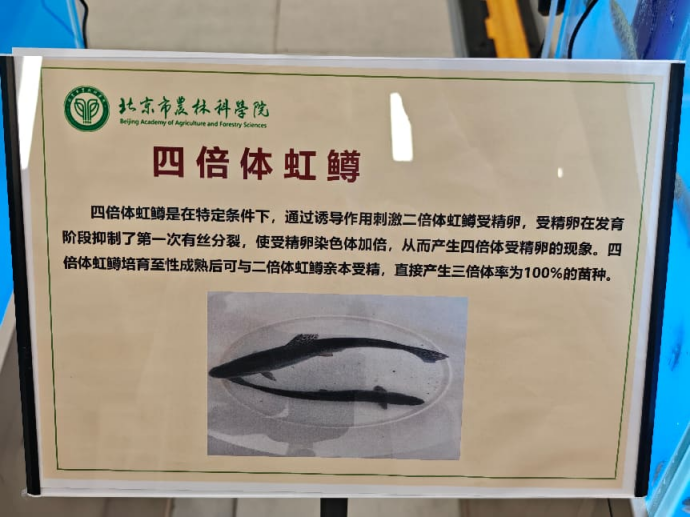1788850245259530.png 图片.png